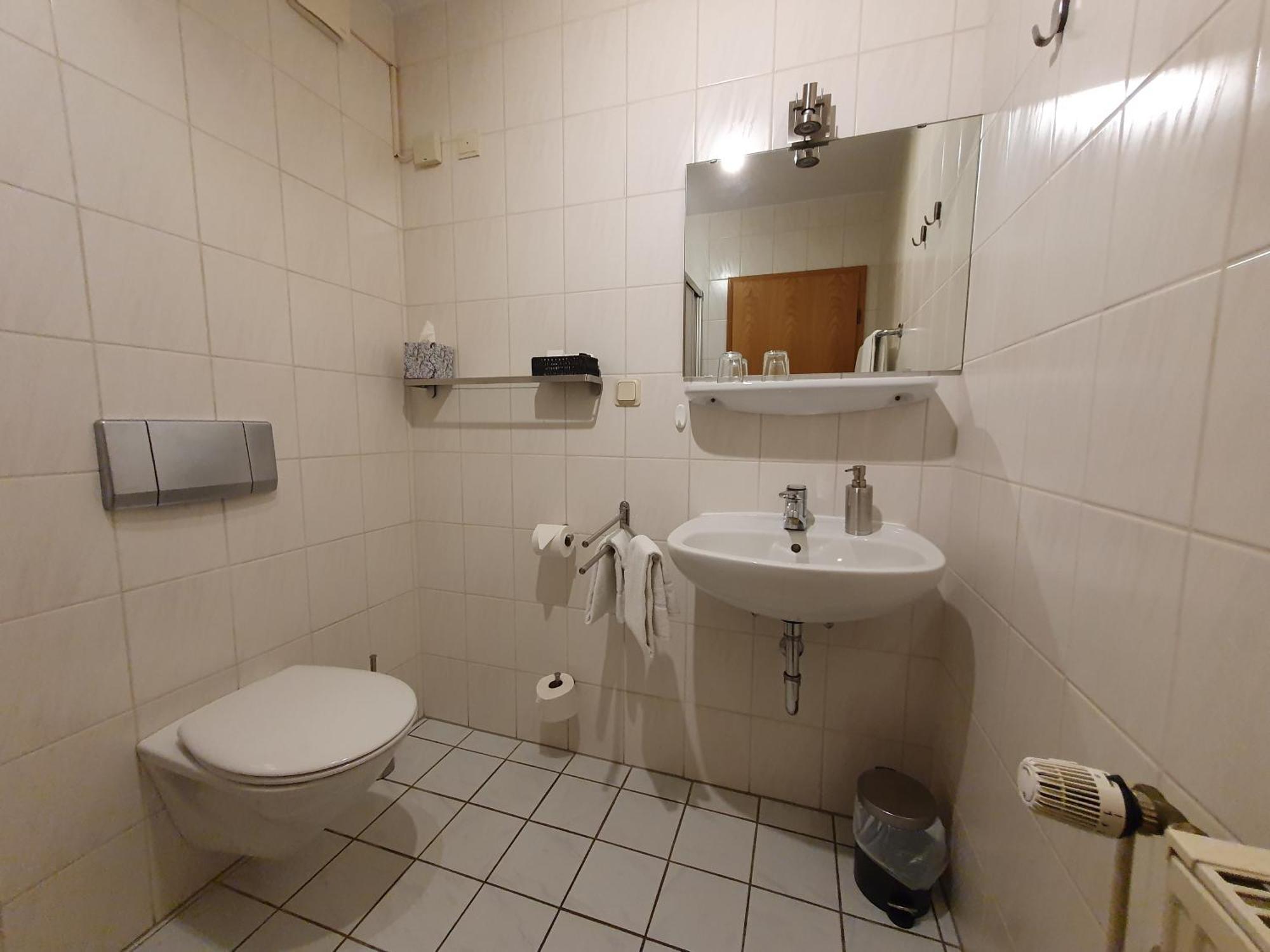 Mini-hôtel Brauner Hirsch 3*