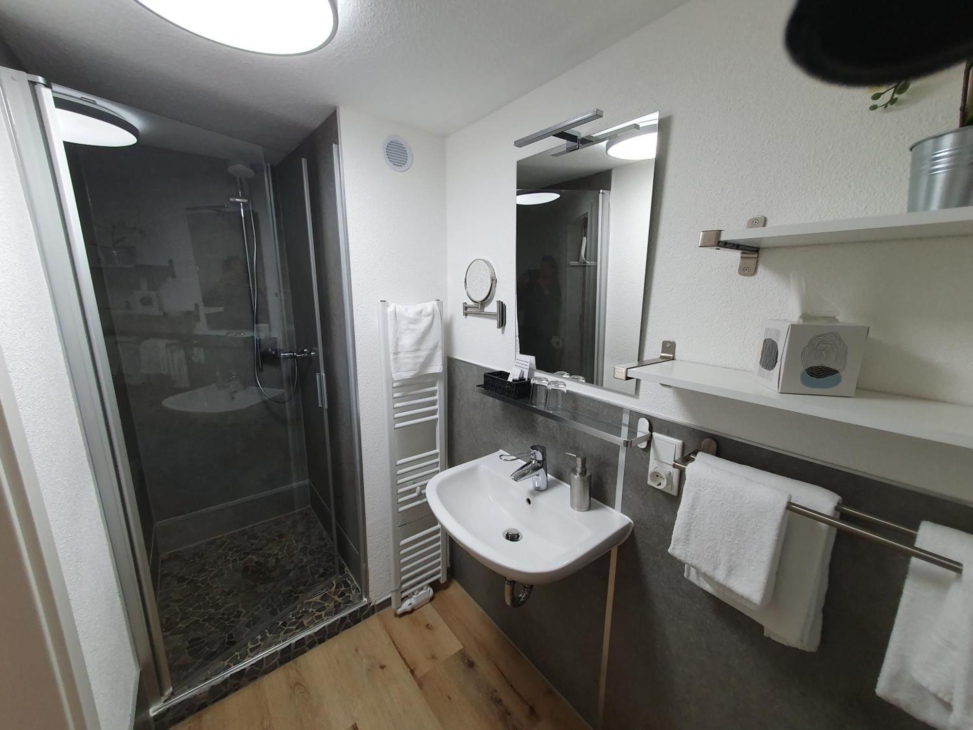 Mini-hôtel Brauner Hirsch 3*
