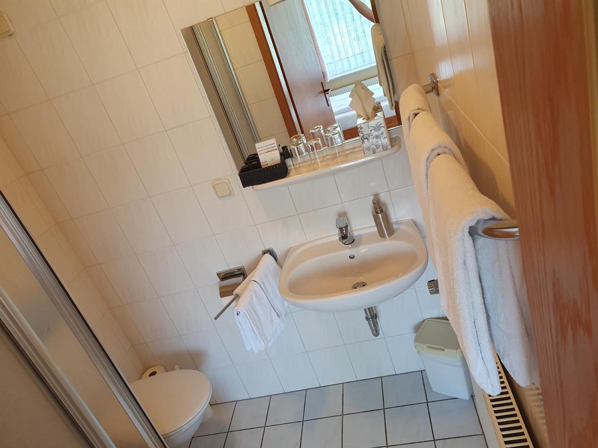 Mini-hôtel Brauner Hirsch